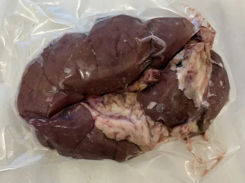 Beef Kidney, vacuum-sealed pack.